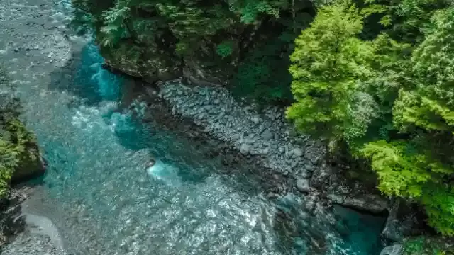 きれいな川の写真